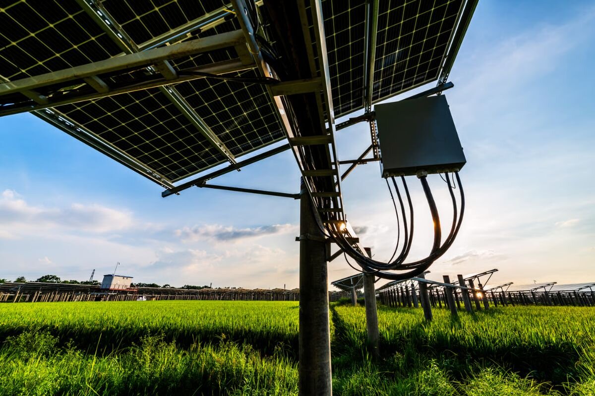 AI for Smart Grid